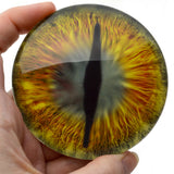 Gold and Teal Green Dragon Glass Eyes