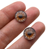 Hazelnut Gray and Brown Human Glass Eyes