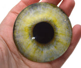 Glass eye with yellow and blue gradient held in a hand against a white background