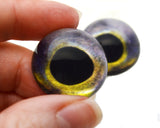 High Domed Northern Pike Predator Fish Glass Eyes