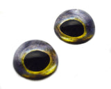 High Domed Northern Pike Predator Fish Glass Eyes