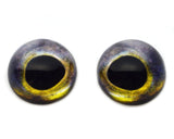 High Domed Northern Pike Predator Fish Glass Eyes