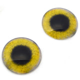 Yellow Osprey Glass Bird Eyes