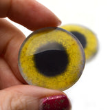 Yellow Osprey Glass Bird Eyes