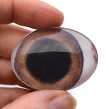 Brown Pig Oval Glass Eyes