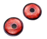 Red Black Swan Glass Bird Eyes