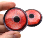 Red Black Swan Glass Bird Eyes