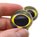 High Domed Altum Angelfish Glass Eyes
