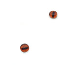 Amber Steer Animal Eyes