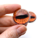 High Domed Amber Steer Glass Eyes