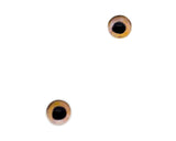 Beige Fish Glass Eyes for fishing lure making