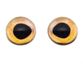 High Domed Beige Fish Glass Eyes