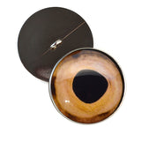 Beige Fish Glass Sew on Eyes