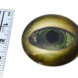 Black Lagoon Creature Glass Eyes