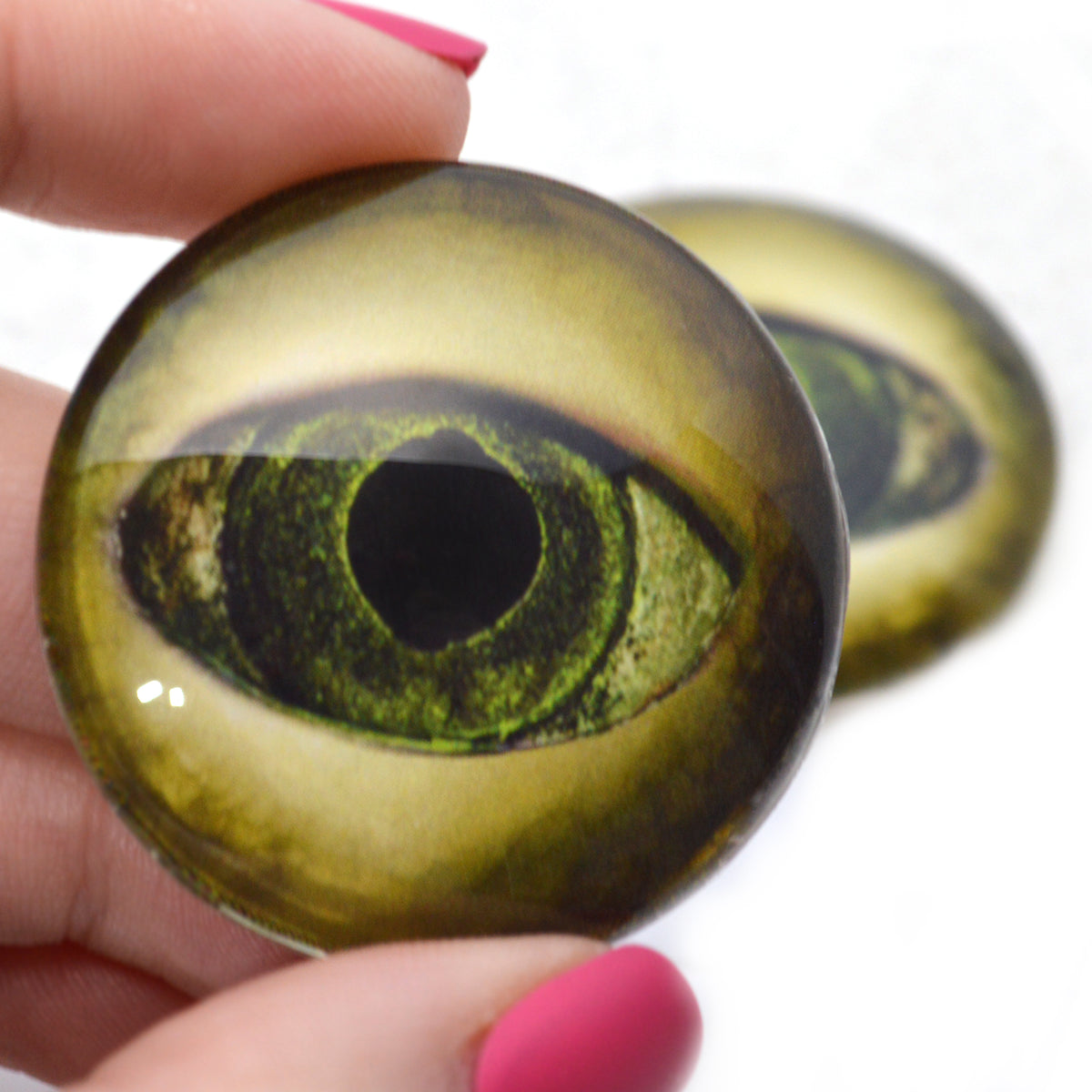 Oval Dragon Eyes 