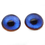 High Domed Blue Goose Glass Eyes