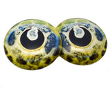 Brocade Catfish Fish Glass Eyes