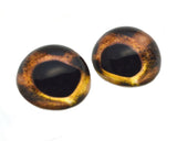 High Domed Brown Speckled Trout Fish Glass Eyes