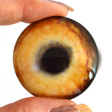 Light Brown Wolf Glass Eyes