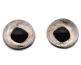 High Domed Chinook Salmon Fish Glass Eyes