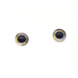 Coho Salmon Fish Glass Eyes