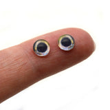 Coho Salmon Fish Glass Eyes