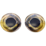 Coho Salmon Fish Glass Eyes