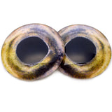 Coho Salmon Fish Glass Eyes