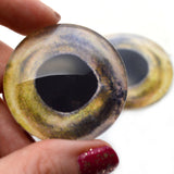 Coho Salmon Fish Glass Eyes