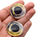 Coho Salmon Fish Glass Eyes