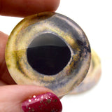Coho Salmon Fish Glass Eyes