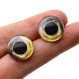 Coho Salmon Fish Glass Eyes
