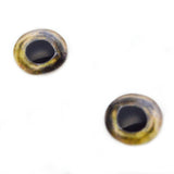 Coho Salmon Fish Glass Eyes