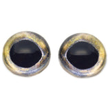High Domed Coho Salmon Glass Fish Eyes