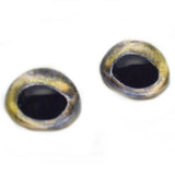 High Domed Coho Salmon Glass Fish Eyes