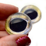 High Domed Coho Salmon Glass Fish Eyes