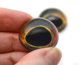 High Domed Dark Brown and Lime Green Fish Glass Eyes