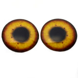 Egyptian Goose Glass Bird Eyes
