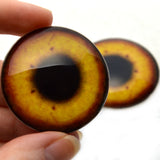 Egyptian Goose Glass Bird Eyes