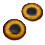 Egyptian Goose Glass Bird Eyes