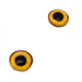 Egyptian Goose Glass Bird Eyes