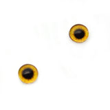 Miniature Egyptian Goose Glass Bird Eyes