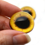 High Domed Egyptian Goose Glass Eyes
