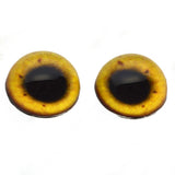 High Domed Egyptian Goose Glass Eyes