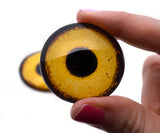 Golden Eagle Glass Bird Eyes