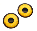 Golden Eagle Glass Bird Eyes