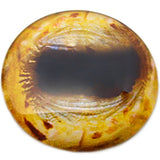 Golden Mountain Goat Glass Eyes