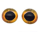 High Domed Golden Yellow Fish Glass Eyes
