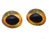 High Domed Golden Yellow Fish Glass Eyes