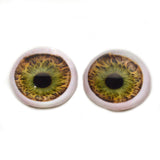 High Domed Hazel Human Glass Eyes whit Whites Scleras